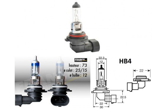 Ampoule HB4 12V-51W RING pour Moto-Quad-Scooter