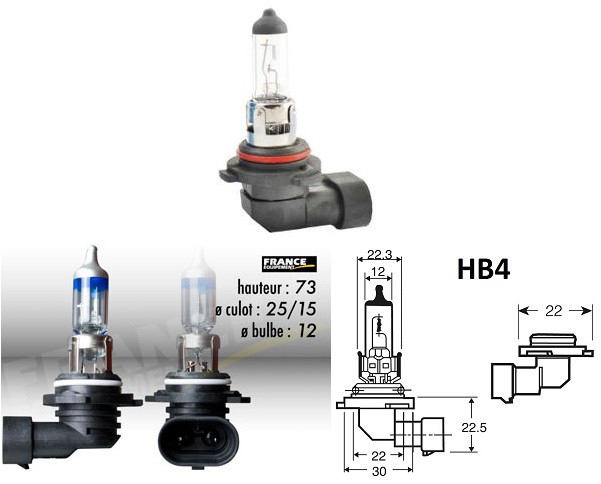 Ampoule HB4 12V-51W RING pour Moto-Quad-Scooter