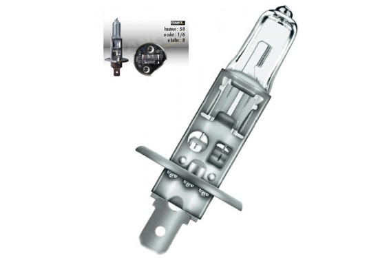 Ampoule H1 12V-55W RING pour Moto-Quad-Scooter