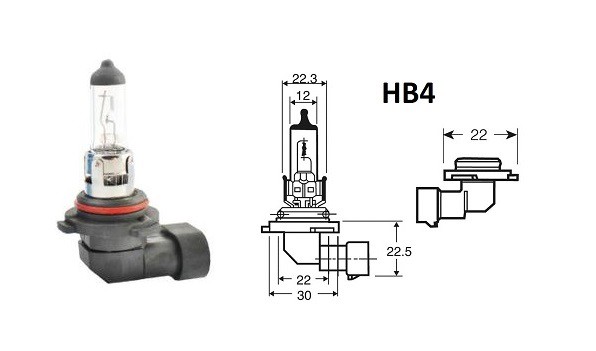 Ampoule HB4 12V-51W RING pour Moto-Quad-Scooter