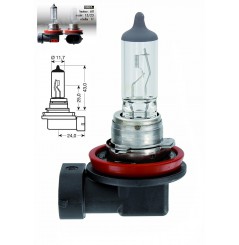 Ampoule H11 12V-55W RING pour Moto-Quad-Scooter