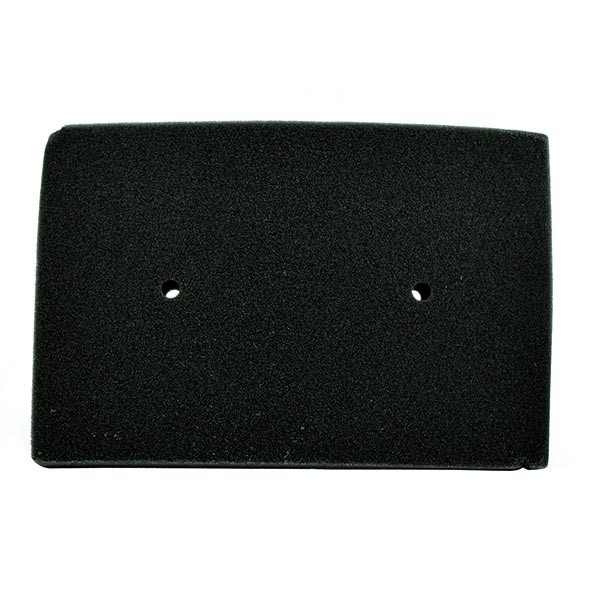 Filtre à Air MIW pour Kawasaki Z 300 (15-18)