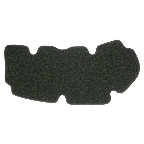 Filtre à Air MIW pour Peugeot Geopolis 125 4T (06-12)
