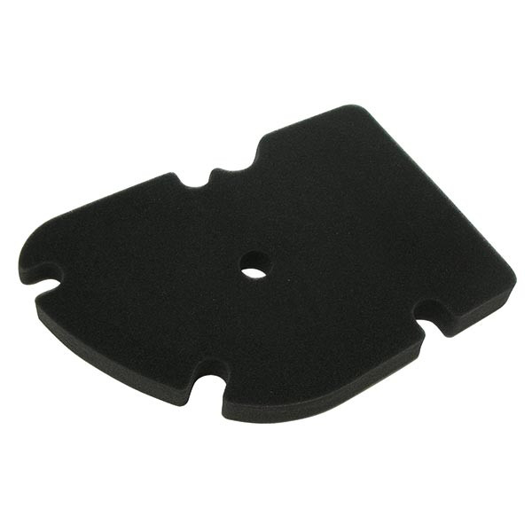 Filtre à Air MIW pour Piaggio X9 250 4T (06-06)