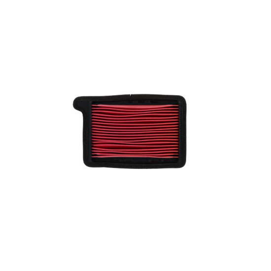 Filtre à Air MIW pour Triumph Trident 660 (21-26)