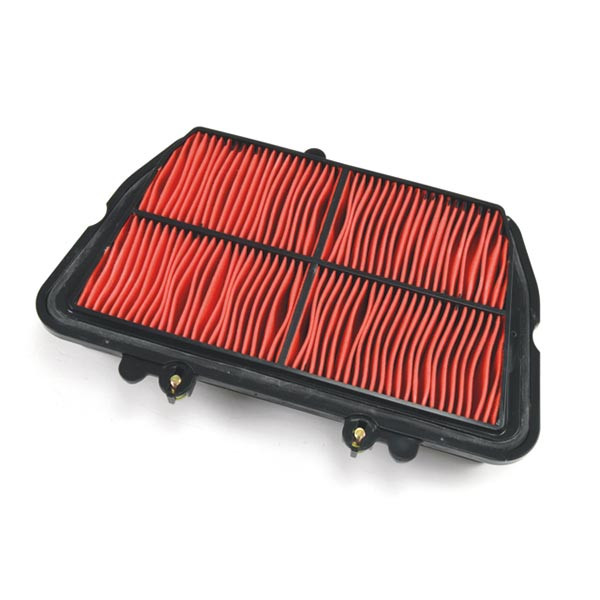 Filtre à Air MIW pour Triumph Tiger 800 (11-20)