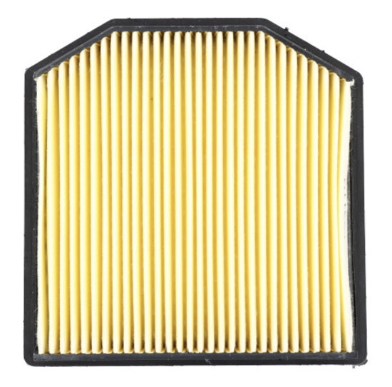 Filtre à Air MIW pour Triumph Tiger 900 (20-26)