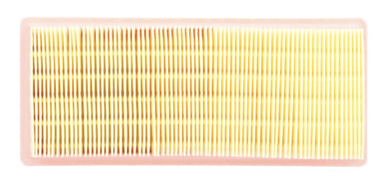 Filtre à Air MIW pour Triumph Tiger 955 (01-06)