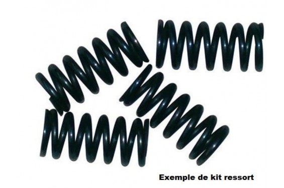Kit ressorts d'embrayage moto Tourmax pour ZZR600 (90-93) - HSP-401-5 Kit ressorts d'embrayage moto Tourmax pour ZZR600 (90-93) - HSP-401-5