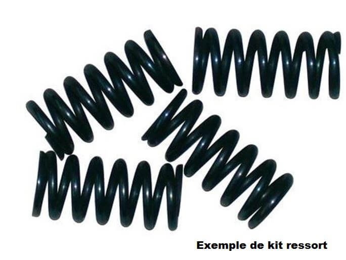 Kit ressorts d'embrayage moto Tourmax pour ZZR600 (90-93) - HSP-401-5