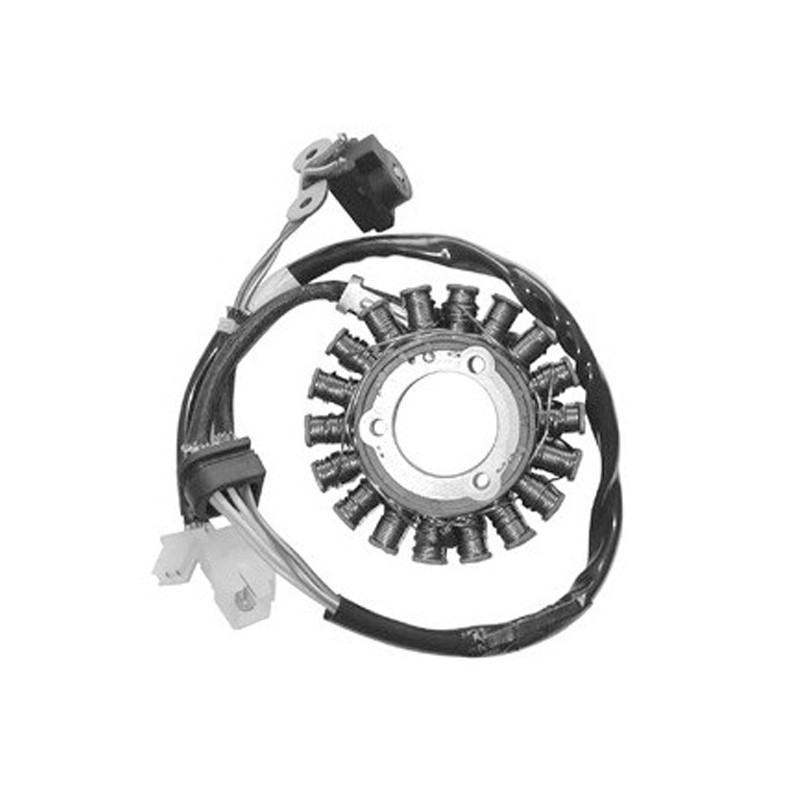 Stator SGR pour Kymco Grand Dink 250 4T (01-07) Stator SGR pour Kymco Grand Dink 250 4T (01-07)