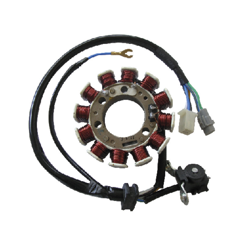 Stator SGR pour Derbi Senda 125 SM (04-08) Stator SGR pour Derbi Senda 125 SM (04-08)