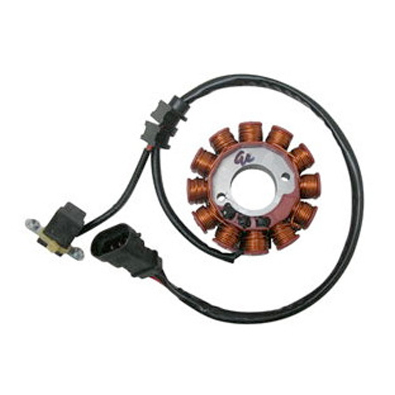 Stator SGR pour Derbi Mulhacen 125 (07-10) Stator SGR pour Derbi Mulhacen 125 (07-10)