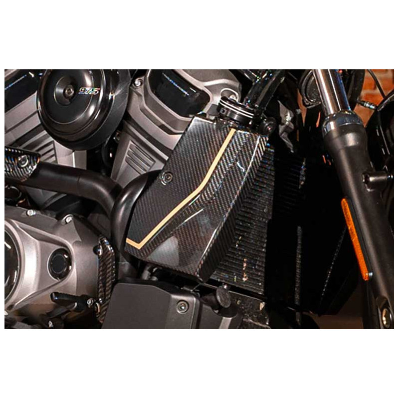 Cache Radiateur et Bouchon Radiateur Édition Limitée 120th Carbone et Aluminium Noir pour Harley Davidson Nightster 975 (22-25)