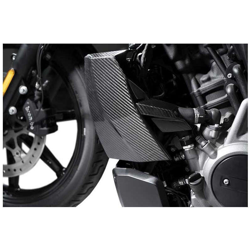 Couvre Radiateur en Fibre de Carbone et Couvercle de Bouchon en Aluminium pour 975 Nightster (22-25) Couvre Radiateur en Fibre de Carbone et Couvercle de Bouchon en Aluminium pour 975 Nightster (22-25)