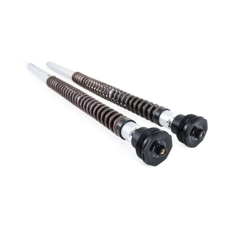 Kit cartouche de fourche NIX30 Ohlins pour Yamaha YZF-R9 (25-26) - FGK 244 Kit cartouche de fourche NIX30 Ohlins pour Yamaha YZF-R9 (25-26) - FGK 244
