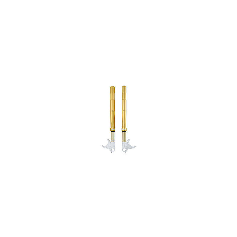 Fourche FGRT Ohlins pour BMW M 1000 RR (21-24) - FGRT 232 Fourche FGRT Ohlins pour BMW M 1000 RR (21-24) - FGRT 232