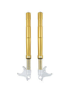 Fourche FGRT Ohlins pour BMW S 1000 RR (19-24) - FGRT 232