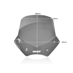Pare-Brise Sport Fumé Foncé WRS pour BMW R 1200 R (06-14) - BM046FS