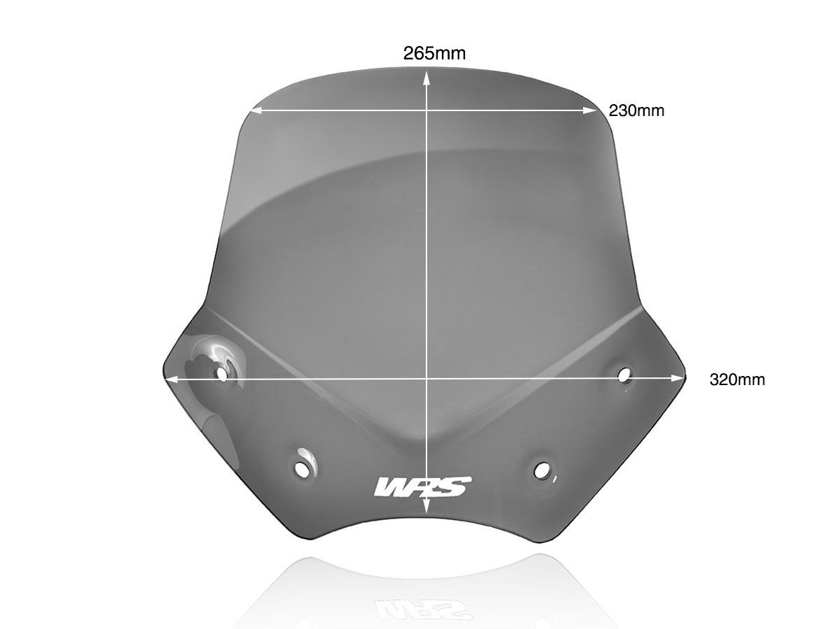 Pare-Brise Sport Fumé Foncé WRS pour BMW R 1200 R (06-14) - BM046FS