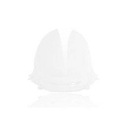 Bulle Race Claire WRS pour Ducati Panigale 1299 (15-17) - DU011T