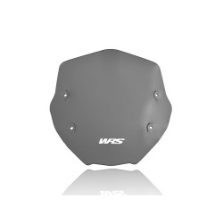 Pare-Brise Sport Fumé Foncé WRS pour BMW R 1250 R (19-24) - BM056FS