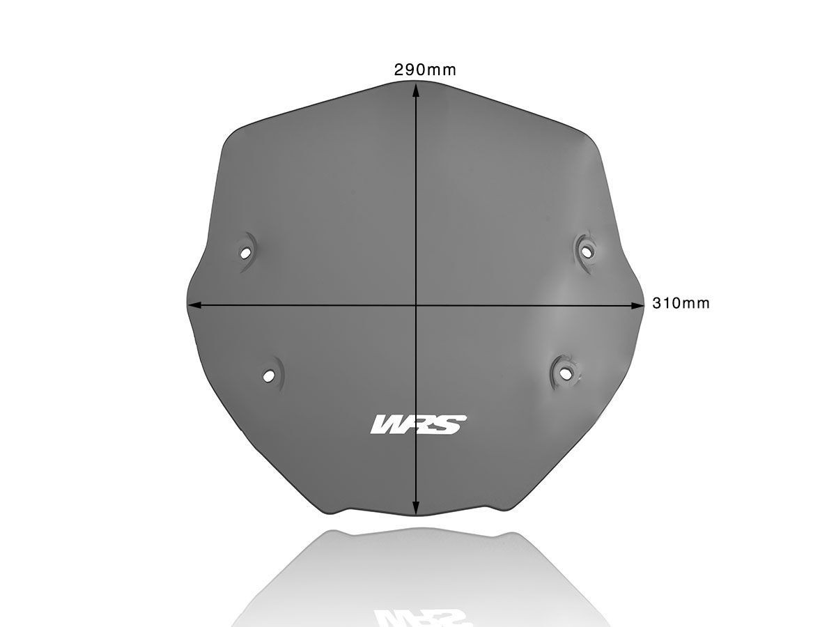 Pare-Brise Sport Fumé Foncé WRS pour BMW R 1250 R (19-24) - BM056FS