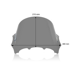 Bulle Race Fumé Foncé WRS pour BMW M 1000 RR (23-24) - BM100FS