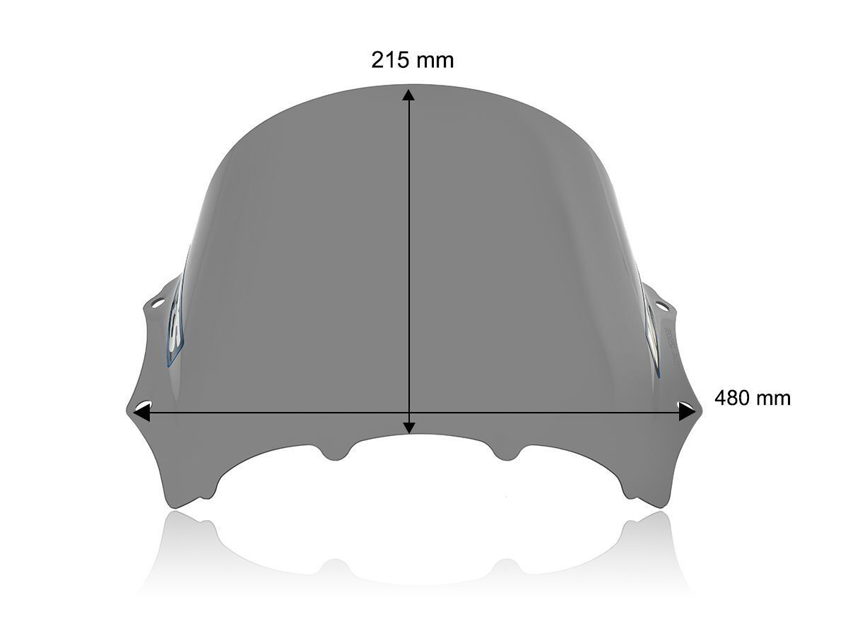 Bulle Race Fumé Foncé WRS pour BMW M 1000 RR (23-24) - BM100FS