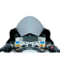 Bulle Race Fumé WRS pour Ducati Panigale V4 et S (25-26) - DU034F