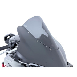 Bulle Race Fumé WRS pour Ducati Panigale V4 et S (25-26) - DU034F