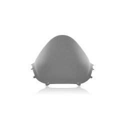 Bulle Race Fumé Foncé WRS pour Ducati Panigale V4 et S (25-26) - DU034FS