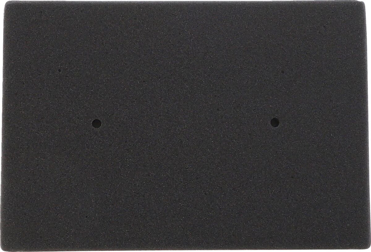 Filtre à Air Emgo pour Kawasaki EX 250 R Ninja (08-12) - 12-93016