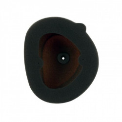 Filtre à Air Moto TwinAir pour KXF 250 (06-16) KXF 450 (06-15) - 151119FRSTD