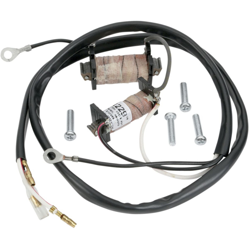 Kit Réfection de Stator RICK'S pour Suzuki RM 80 (80-01) - 22-780 Kit Réfection de Stator RICK'S pour Suzuki RM 80 (80-01) - 22-780