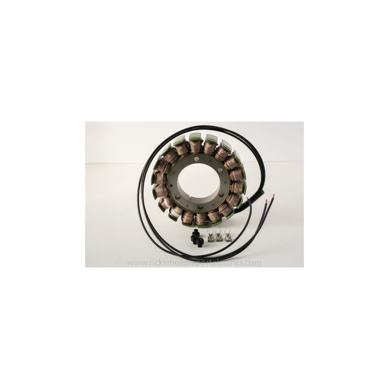 Stator RICK'S pour TGB Target 550 IRS EFI (2013) - 21-066 Stator RICK'S pour TGB Target 550 IRS EFI (2013) - 21-066