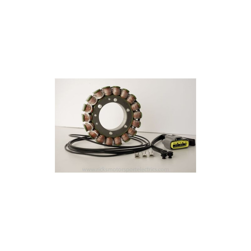 Stator RICK'S pour Yamaha TDM 900 (02-08) - 21-428 Stator RICK'S pour Yamaha TDM 900 (02-08) - 21-428