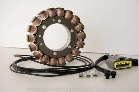 Stator RICK'S pour Yamaha TDM 900 (02-08) - 21-428