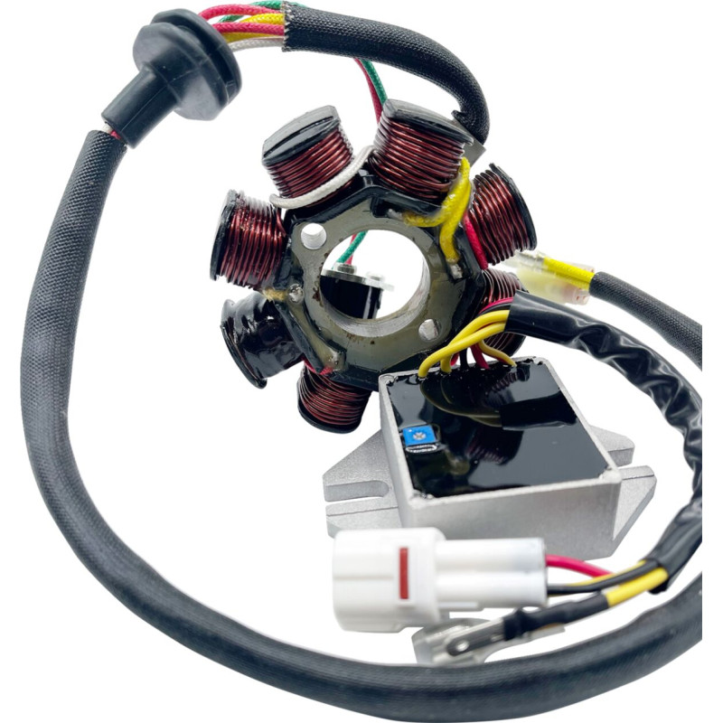 Stator + Régulateur Compatible Lithium-ion RICK'S pour Husqvarna TC 250 (2014) - 14-99-900H Stator + Régulateur Compatible Lithium-ion RICK'S pour Husqvarna TC 250 (2014) - 14-99-900H