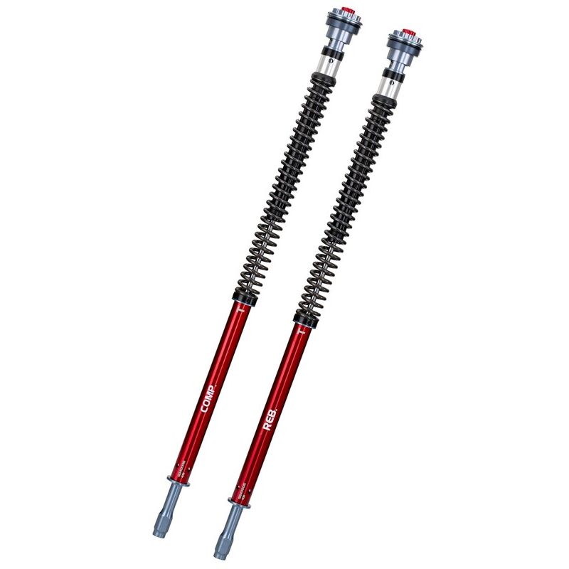 Kit cartouche YSS pour BMW F 800 GS (08-17) - CO208-900TRC-06 Kit cartouche YSS pour BMW F 800 GS (08-17) - CO208-900TRC-06