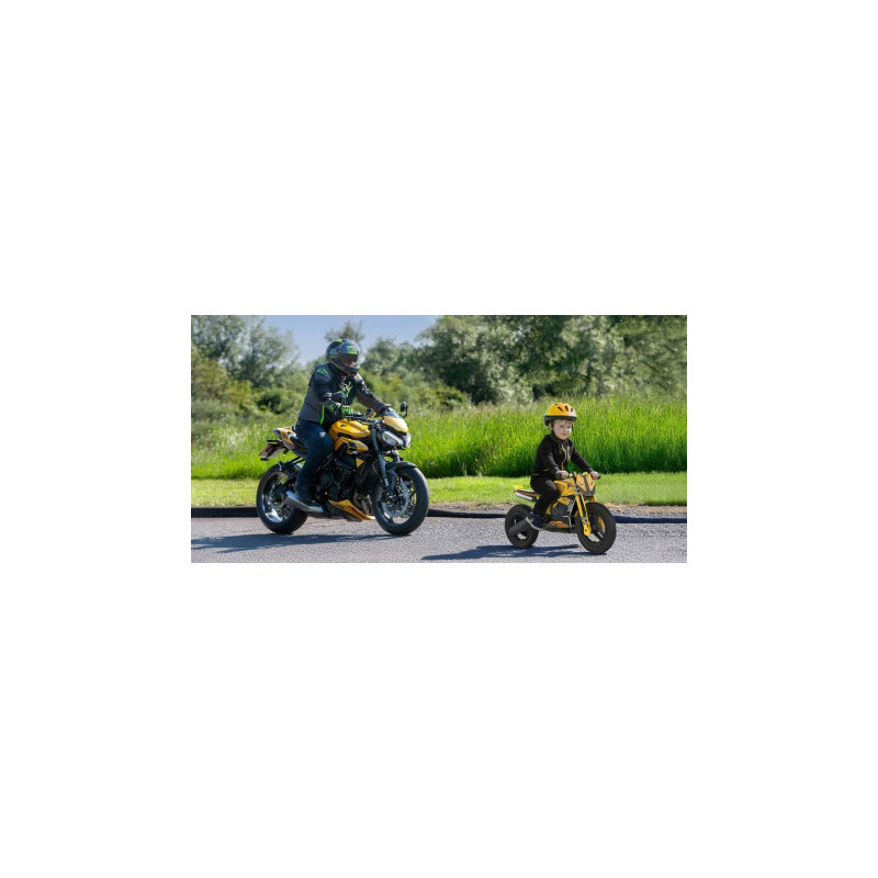 Draisienne Kiddimoto Triumph Speed Triple 1200 RS Draisienne Kiddimoto Triumph Speed Triple 1200 RS