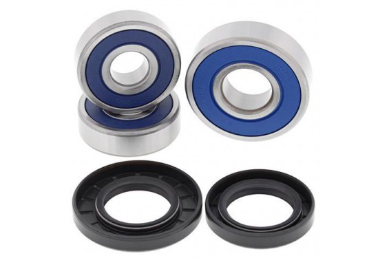 Kit Roulement de roue Arrière moto All Balls pour Hornet 600 (98-06) - 25-1468 Kit Roulement de roue Arrière moto All Balls pour Hornet 600 (98-06) - 25-1468