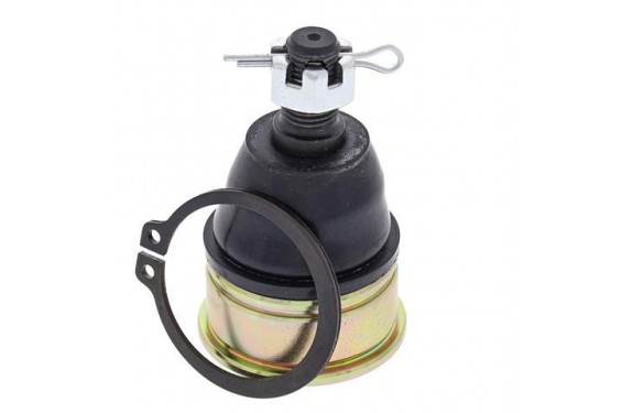 Rotule de Triangle avant Inférieur All Balls pour Quad Honda TRX 250 EX Sportrax (01-12) - 42-1014