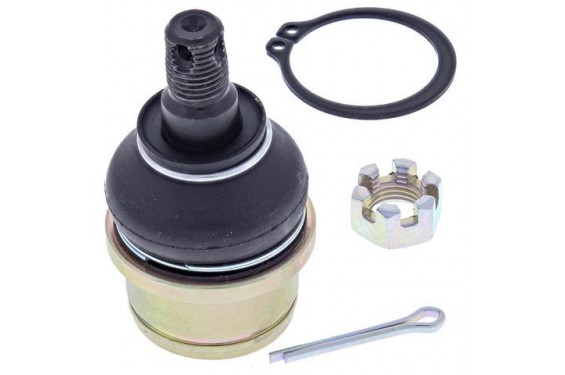 Rotule de Triangle avant Supérieur All Balls pour Quad Honda TRX 350 F Rancher (02-06) TRX 420 (07-14) - 42-1015