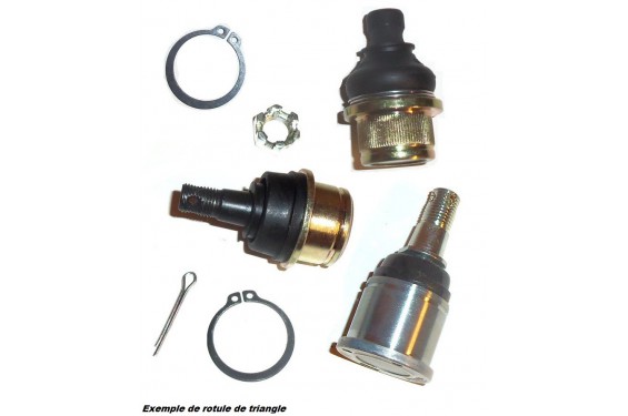 Rotule de Triangle avant Supérieur ou Inférieur All Balls pour Quad Polaris Ranger 500 4x4 (09-10) - 42-1035