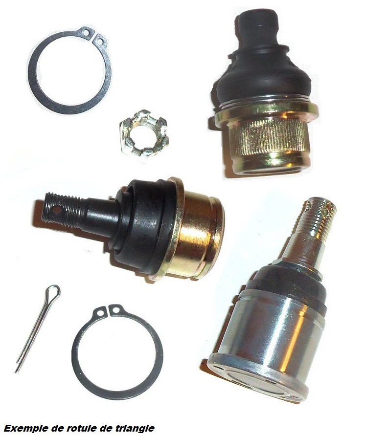 Rotule de Triangle avant Supérieur ou Inférieur All Balls pour Quad Polaris Ranger 500 4x4 (09-10) - 42-1035
