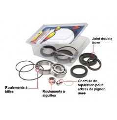 Kit Roulements et Joints de Différentiel Arrière All Balls pour Quad Kawasaki KVF 650 Prairie (02-03) - 25-2062