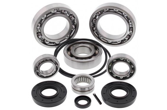 Kit Roulements et Joints de Différentiel Arrière All Balls pour SSV Kawasaki KRF Teryx 750 4x4 (08-13) - 25-2095 Kit Roulements et Joints de Différentiel Arrière All Balls pour SSV Kawasaki KRF Teryx 750 4x4 (08-13) - 25-2095