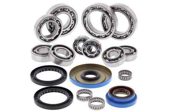 Kit Roulements et Joints de Différentiel Arrière All Balls pour Quad Polaris Sportsman Forest 800 EFI (12-15) Kit Roulements et Joints de Différentiel Arrière All Balls pour Quad Polaris Sportsman Forest 800 EFI (12-15)
