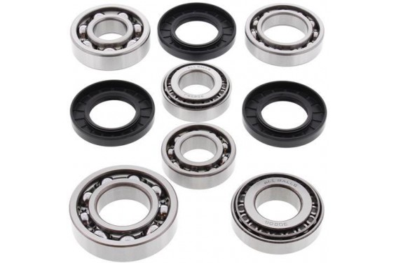 Kit Roulements et Joints de Différentiel Arrière All Balls pour Quad Yamaha YFM 550 Grizzly (09-16) - 25-2074 Kit Roulements et Joints de Différentiel Arrière All Balls pour Quad Yamaha YFM 550 Grizzly (09-16) - 25-2074